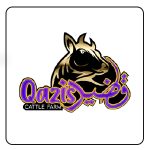 Qazis